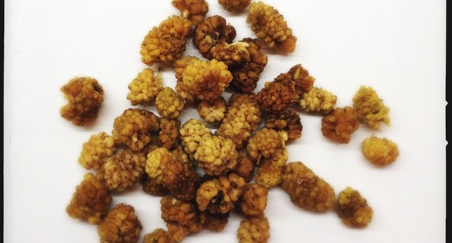 Getrocknete weiße Maulbeeren