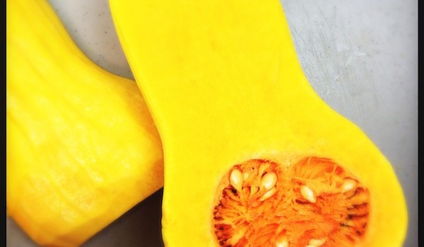 Butternusskürbis